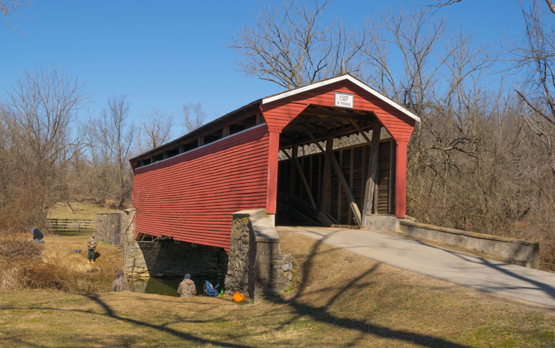 Flycatcher Farm